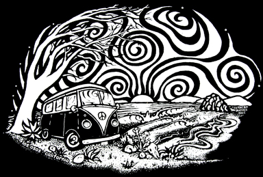 Los Osos VW Van